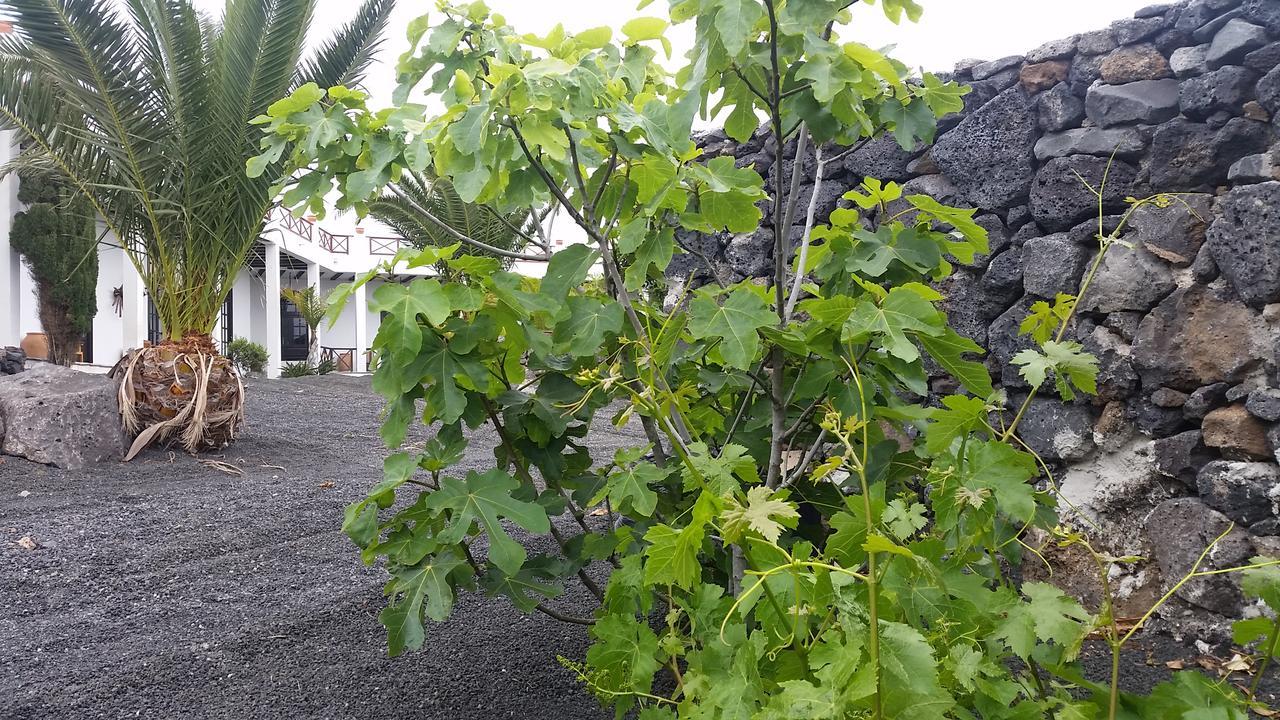 Finca Fajardo La Vegueta 외부 사진